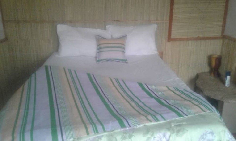 Accommodation & Activities