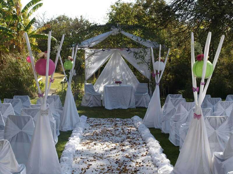 Decor & Florists