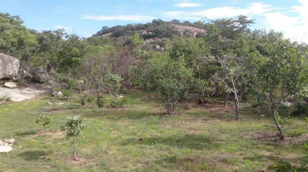 Accommodation & Activities