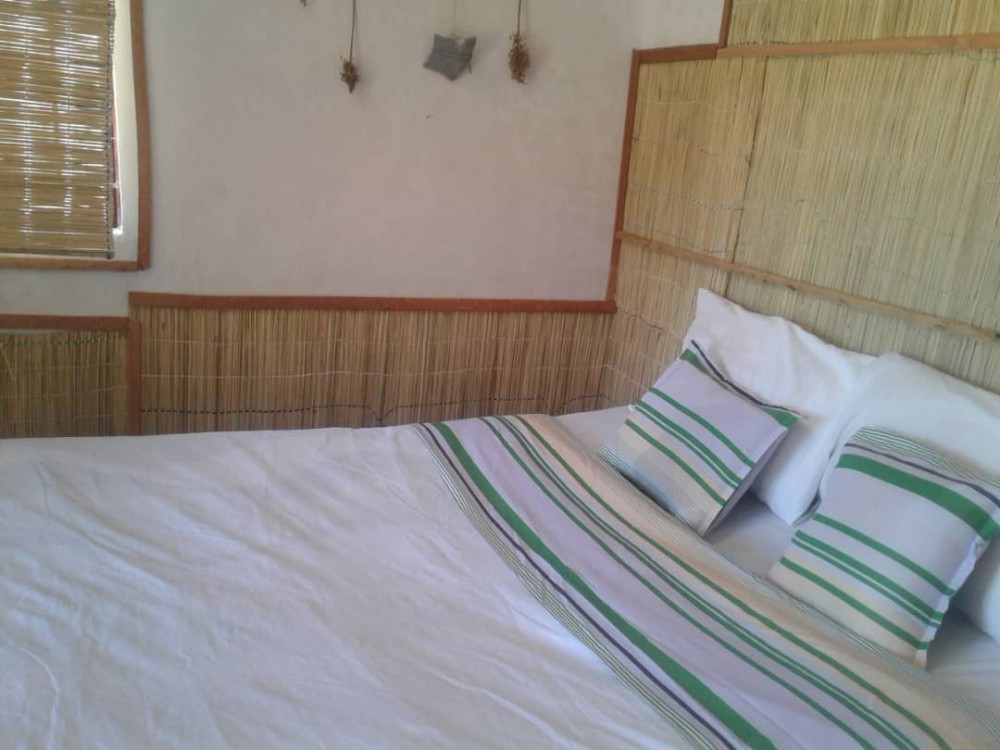 Accommodation & Activities