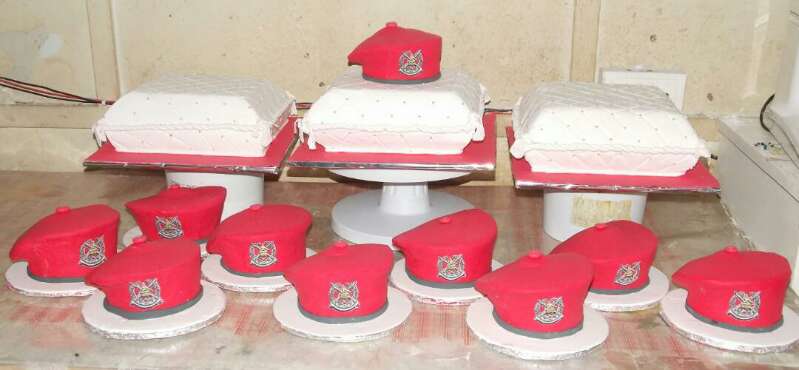 10 Red soldier barretas and 3 pillows