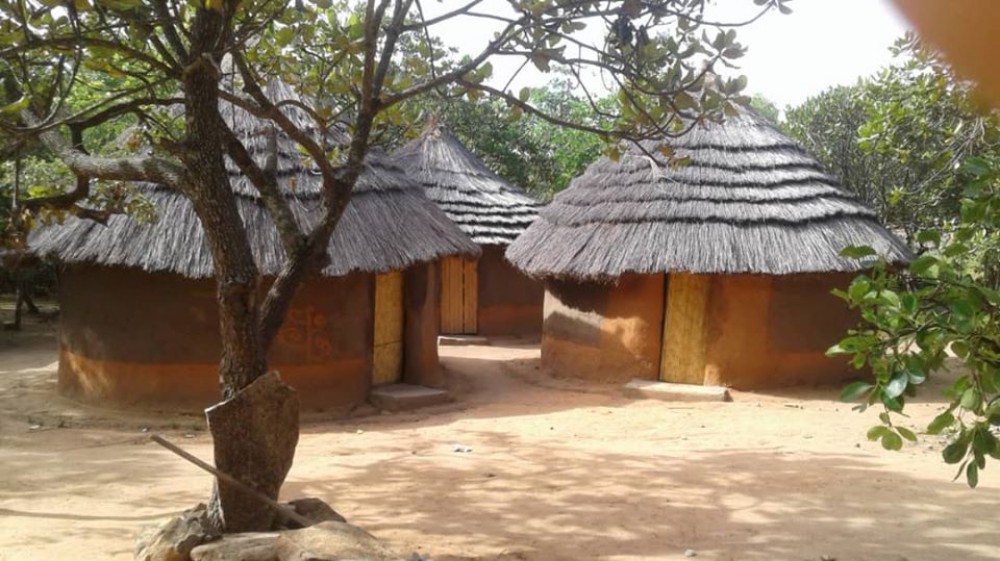 Accommodation & Activities