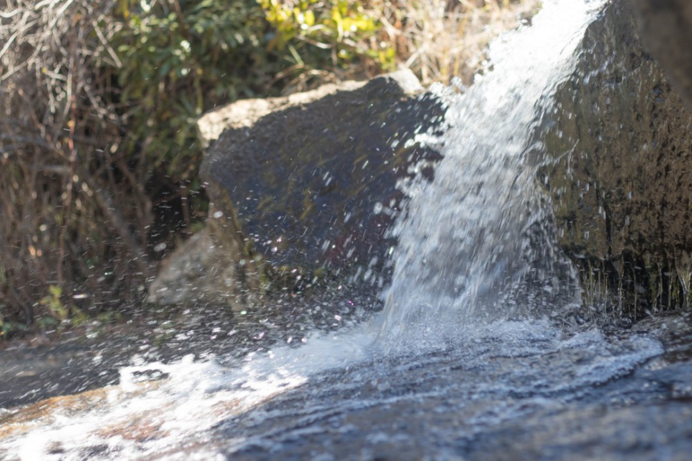 Accommodation & Activities