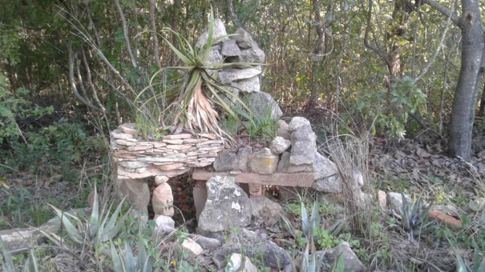 Accommodation & Activities